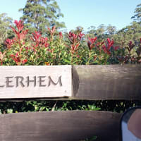 Photo by Colin van den Hoff