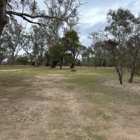 Photo by fourie2007@yahoo.com.au