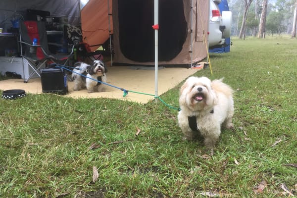 Photo by Mitchell H.