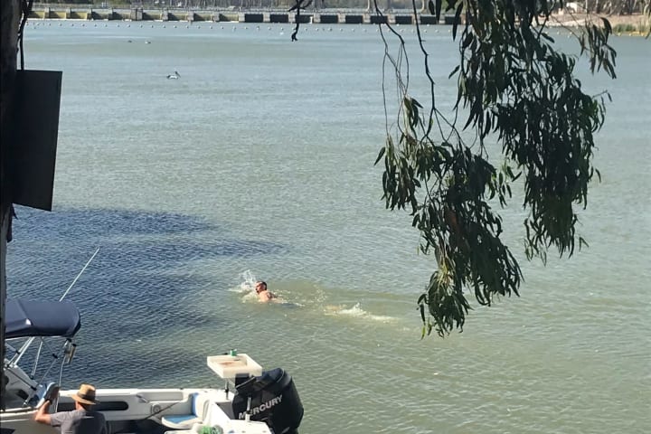 Photo by Michelle C.