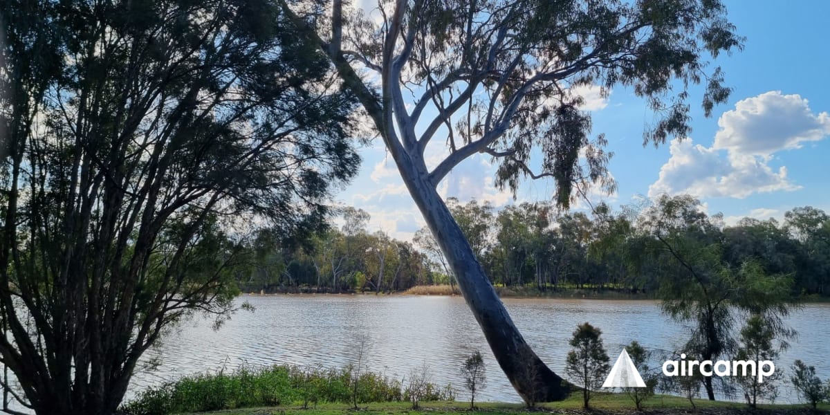 St Caravan Park Anycamp