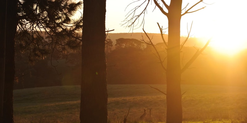 Photo by Brucethegoose