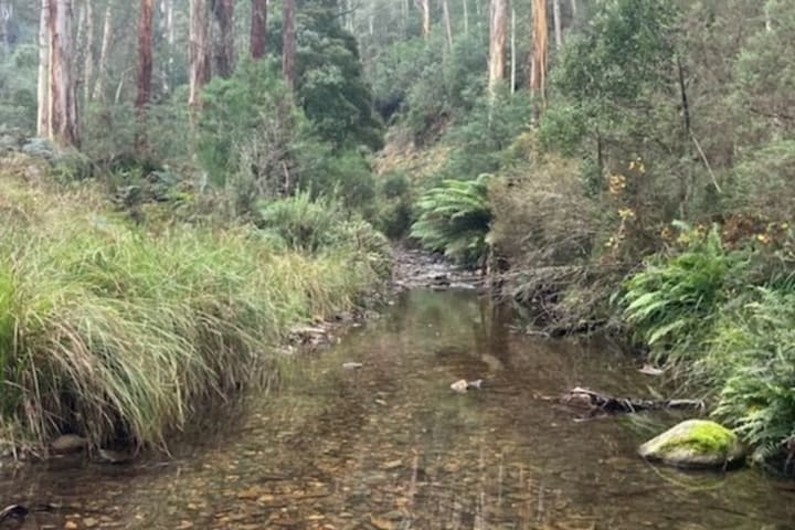 Photo by Brenden and Lisa Milkins