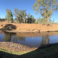 Photo by Christine J.