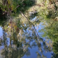 Photo by Colin van den Hoff