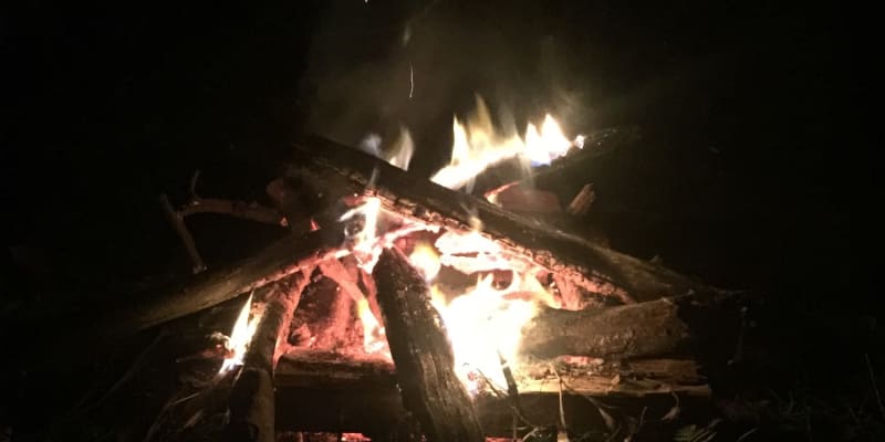 Photo by Miss Tortie Markham