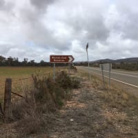 Photo by Francesca S.