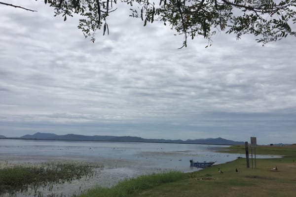 Photo by Theresa N Jason Brown