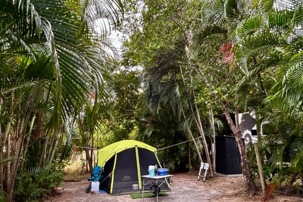 Photo by Elizabeth T.