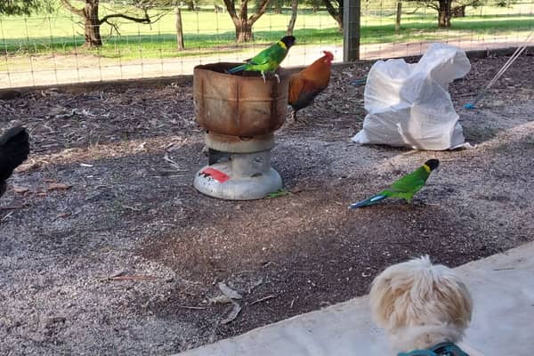 Photo by Colin van den Hoff