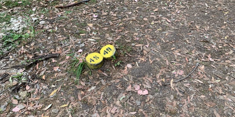 Photo by Enrique Di Tondo