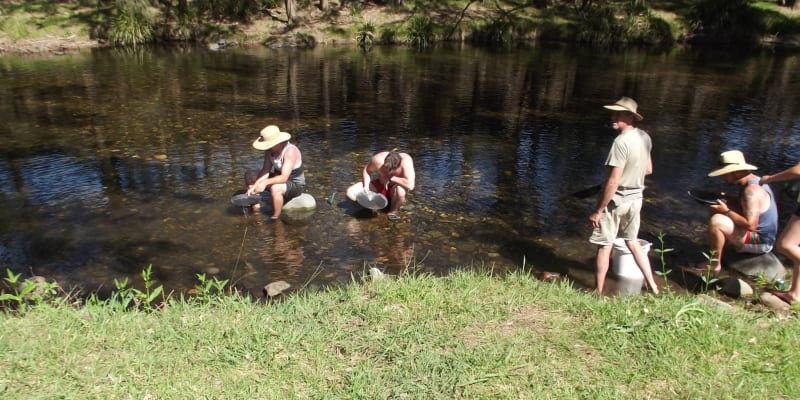 Photo by Tracy N David Ross