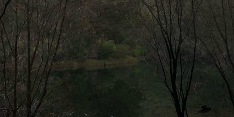 Photo of Lake Eckersley campground