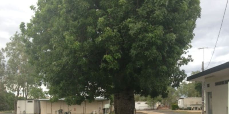 Photo by Rolleston Caravan Park