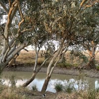 Photo by Happy Hour Hunters