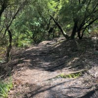 Photo by [deleted user]