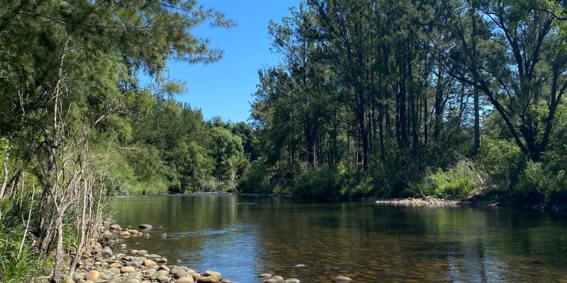 Photo by Louise Le Roux