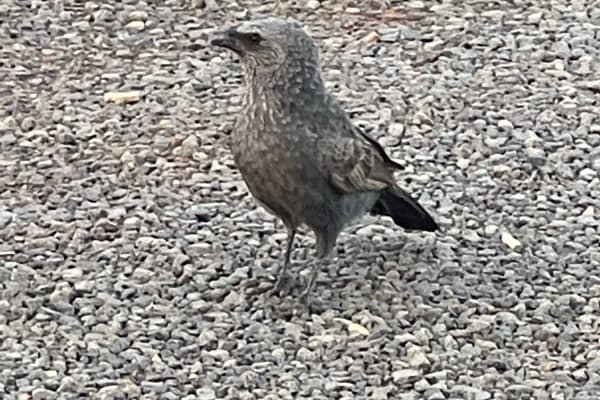 Photo by HomeIsWhereWeParkIt