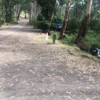 Photo by Melissa Nyadit Koth