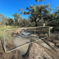 Photo by DaveDuff    CampInNature