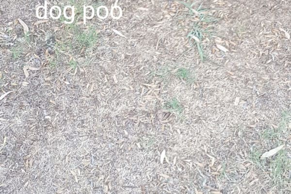 Photo by Hans Mestizo Reyes