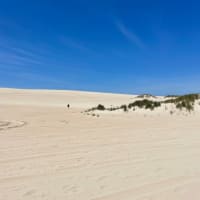 Photo by Happy Hour Hunters