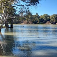 Photo by Nickolas S.