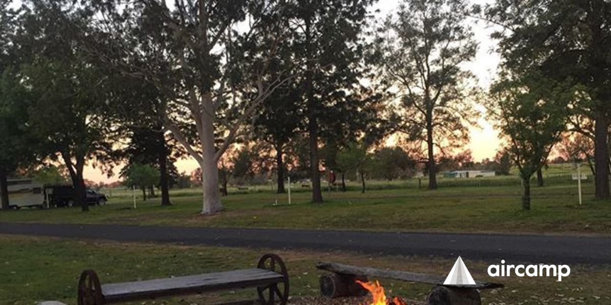 Gilgandra Caravan Park