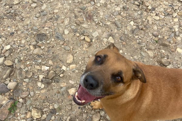 Photo by Stephanie K.