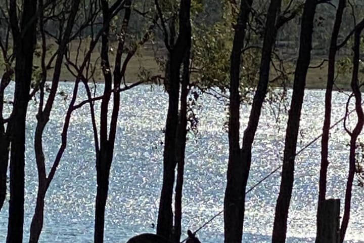 Photo by Cristina B.