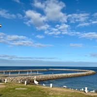 Photo by Corporate to Caravan