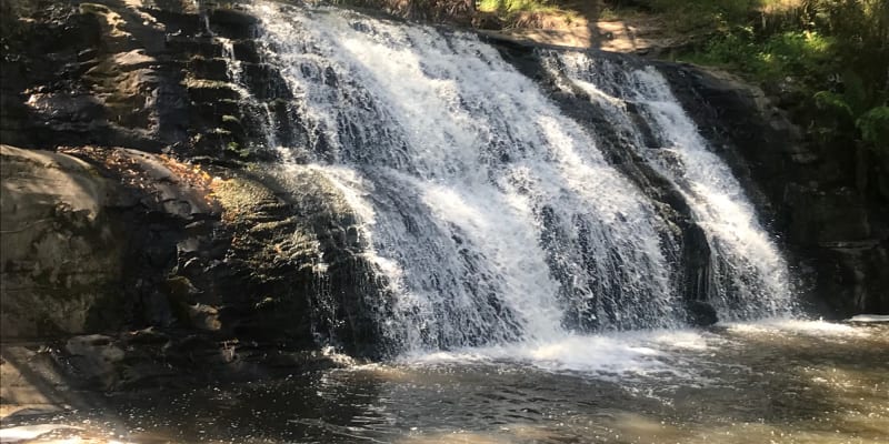 Photo by Meridith B.