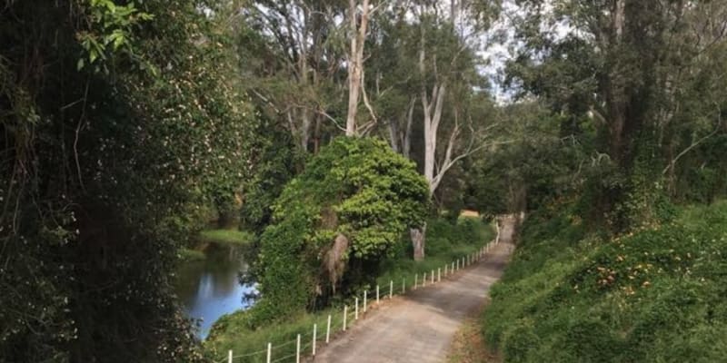 Photo by Madeleine K.