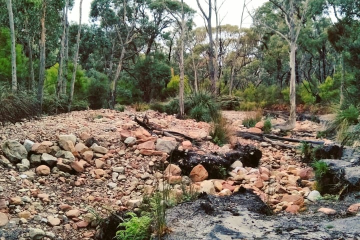 Photo by Bronskilala