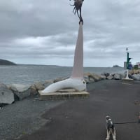 Photo by Poms Touring Australia