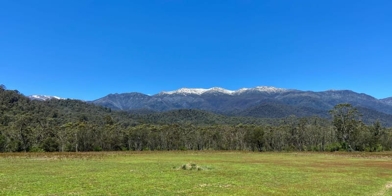 Photo by Courtney  Krause