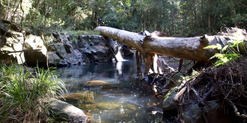 Photo by Peter van Lieshout