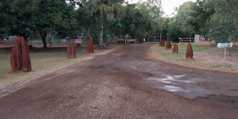 Photo by Colin van den Hoff