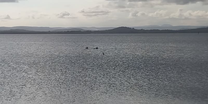 Photo by Colin van den Hoff