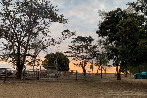 Photo by Corporate to Caravan