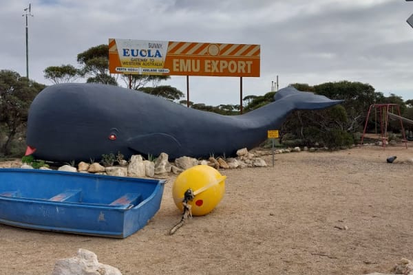 Photo by Colin van den Hoff