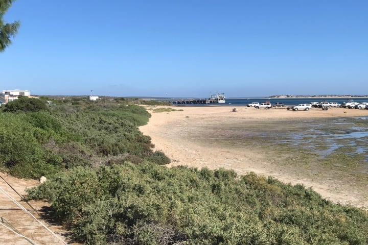 Photo by Nick van Reesema