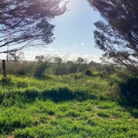 Photo by Chris Titan Topher