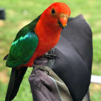 Photo by Allyjane M.