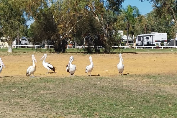 Photo by Colin van den Hoff