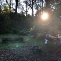 Photo by Brucethegoose