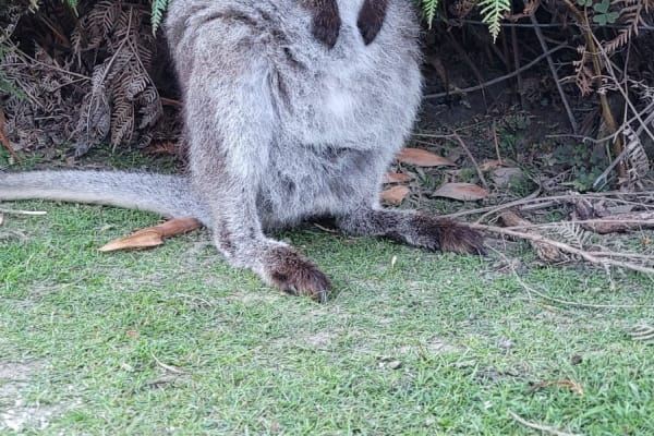 Photo by Sanchia Keeleigh Gray