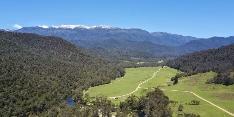 Photo by Courtney  Krause