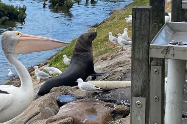 Photo by Dtravellers