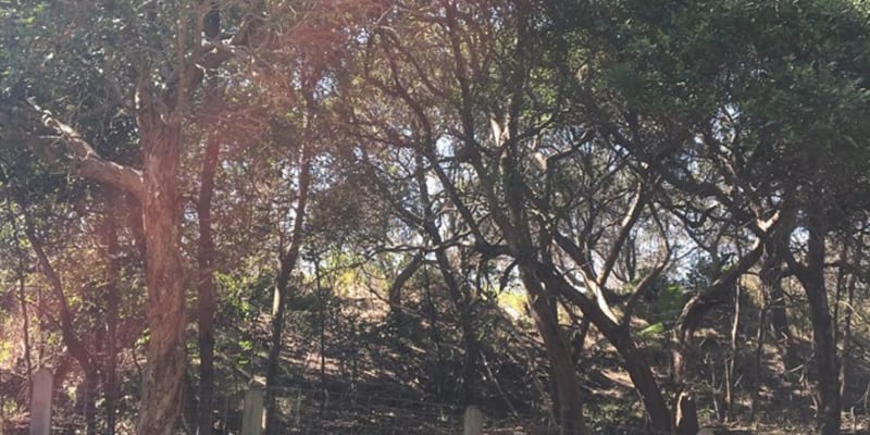 Photo by Michelle L.